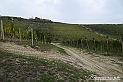 VBS_7870 - Là, dove finisce la strada, comincia un mondo